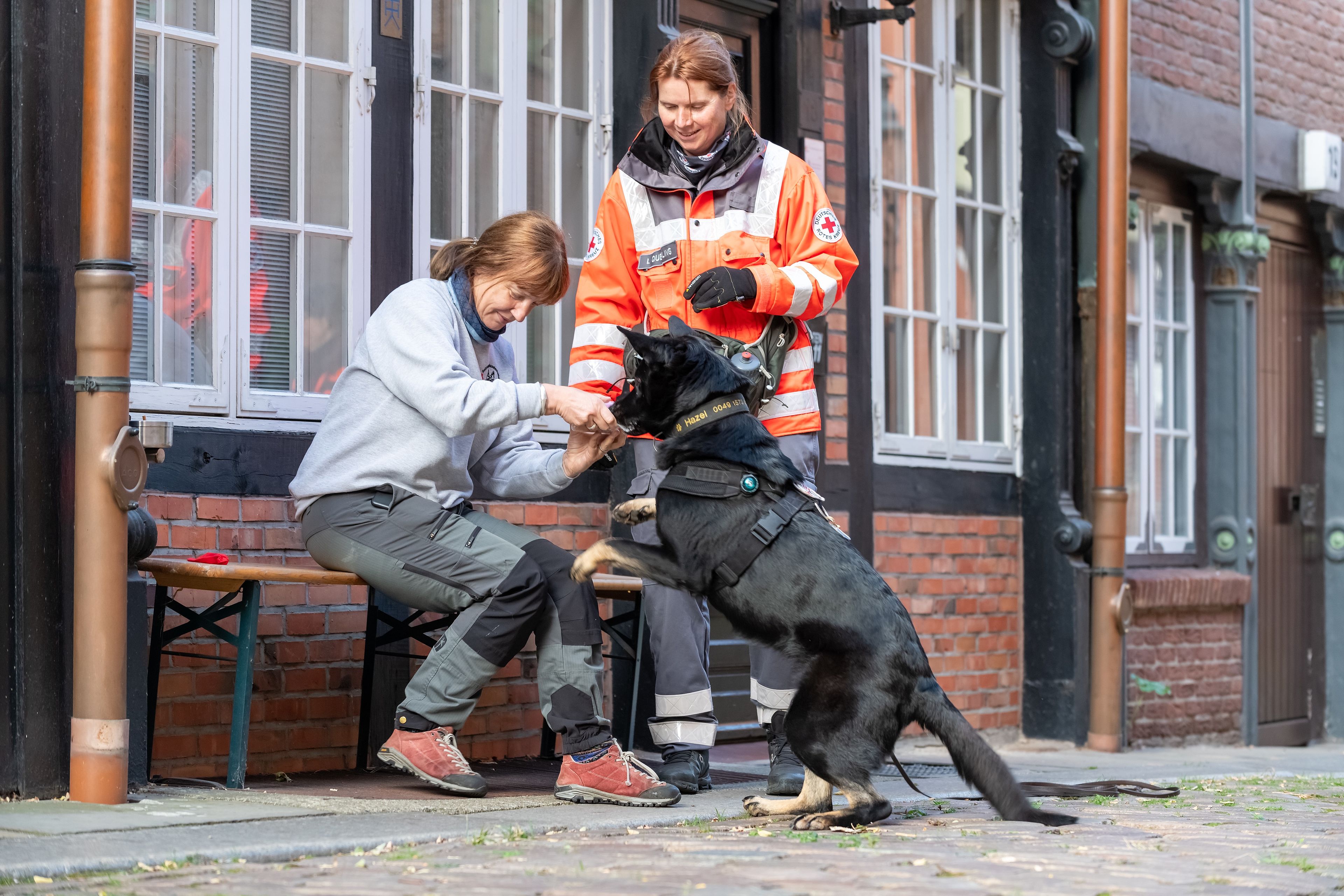 Mantrailing Warnweste NEU! in Altona - Hamburg Osdorf